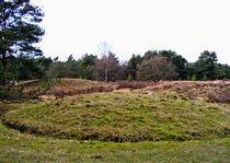 Grave hill in Boshoverheide