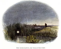 A Dwaallichtje as depicted by Josiah Whymper (1813 - 1903)