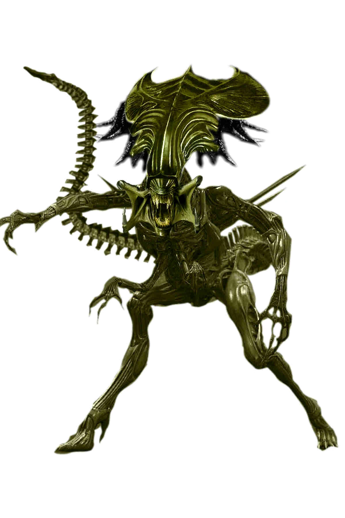 Predalien Queen | DVAVP Wiki | Fandom, image size:1200x1800