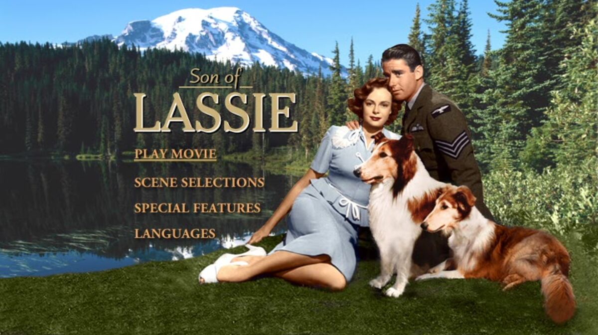 Son Of Lassie Dvd Database Fandom
