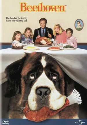 その他 Beethoven: the Sound &amp; the Fury [DVD] [Import] その他 Beethoven: the Sound & the Fury [DVD] [Import] Amazon