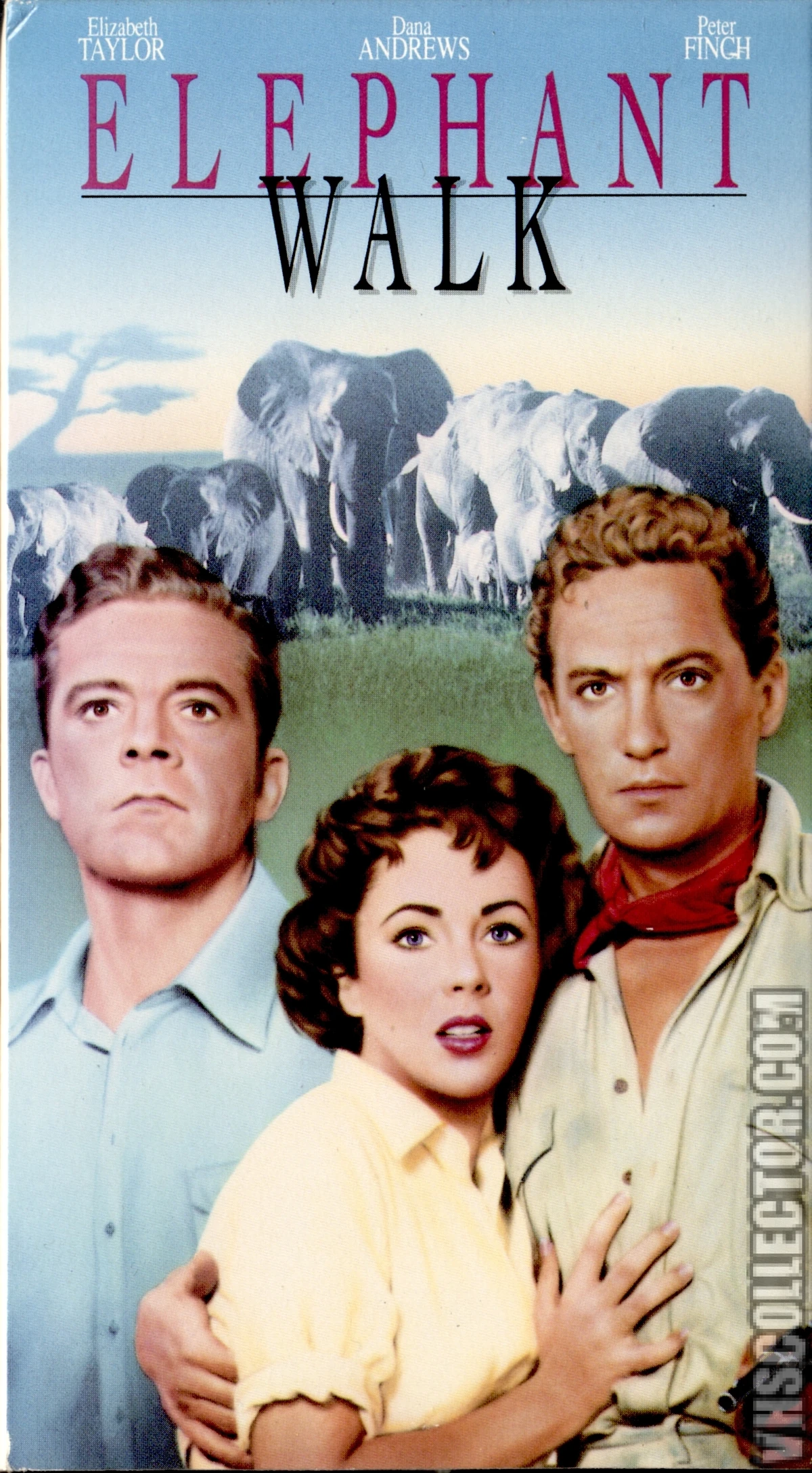 その他 Elephant Walk [DVD] Elephant Walk | DVD Database | Fandom