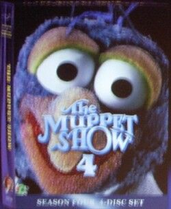 The case for The Muppet Lord of the Rings - The Face