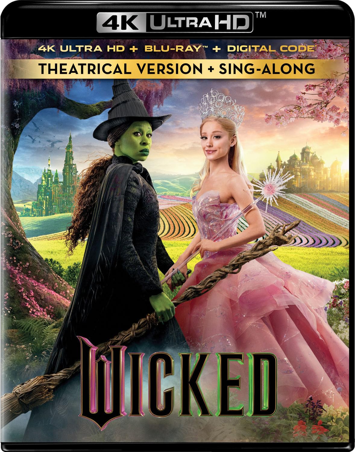 Amazon.co.jp: 映画 Wicked ウィキッド ふたりの魔女キャンバス