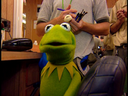 On the Interview with Kermit