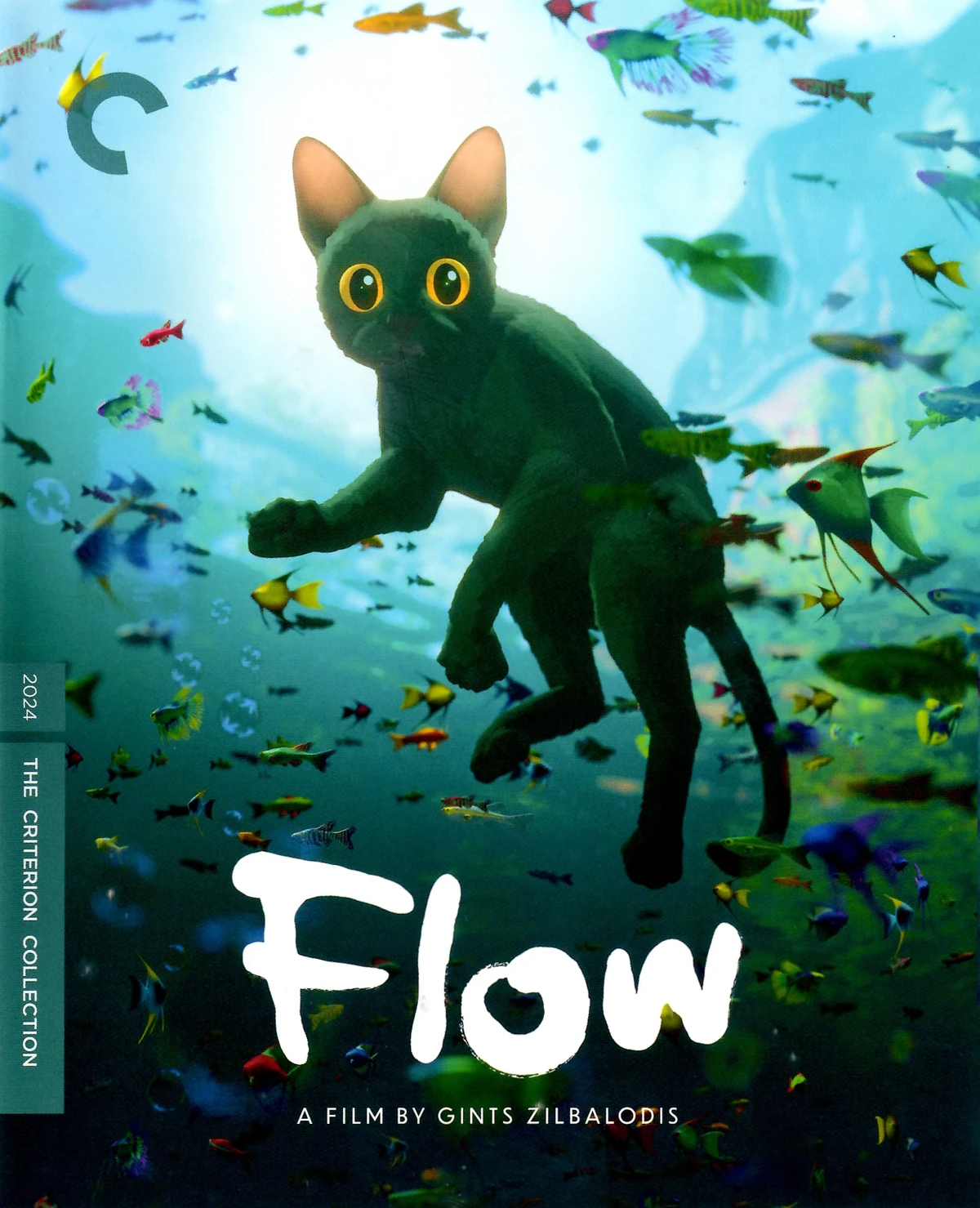 FLOW　 CD・DVDセット アニメベスト・ライブ Amazon.co.jp: FLOW THE BEST ~アニメ縛り~: ミュージック