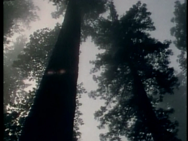 その他 Wonders of God&#39;s Creation [DVD] Amazon.com: The Wonders Of Creation Reveal God's Glory, DVD