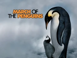 March of the Penguins | DVD Database | Fandom