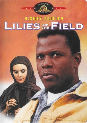 1992年アメリカ産シューゲイザー大名盤Lilys廃盤CD 1992年アメリカ産シューゲイザー大名盤Lilys廃盤CD LILYS商品一覧