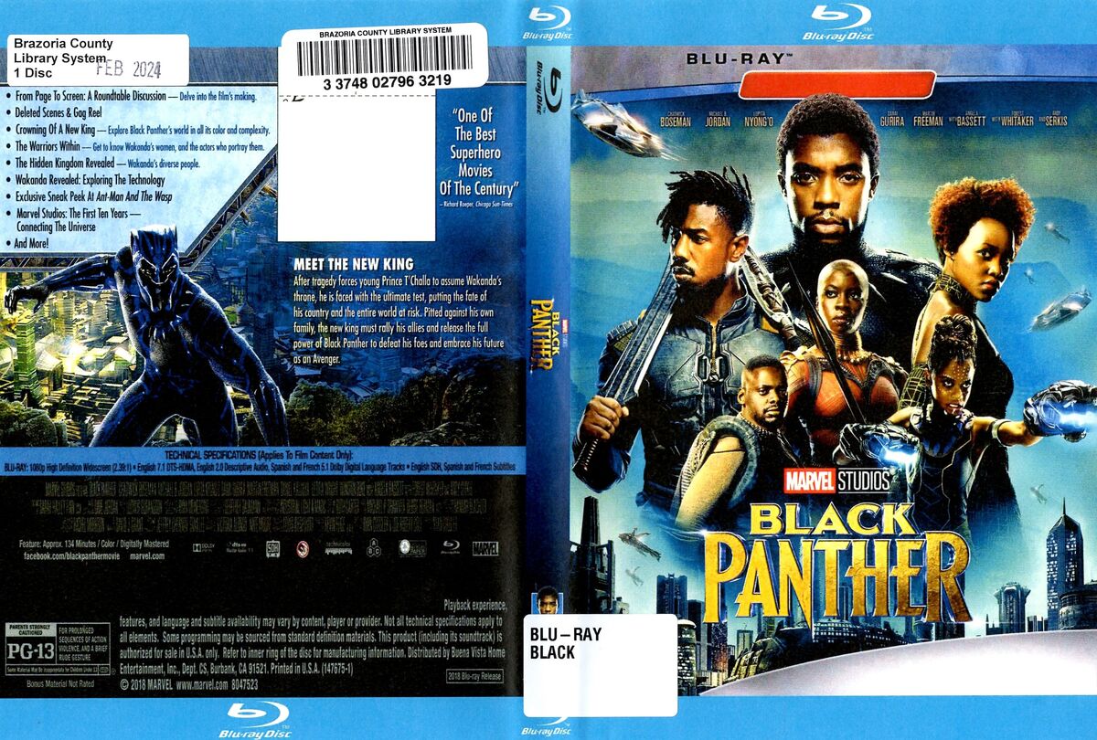 Black panther eng sub full movie discount