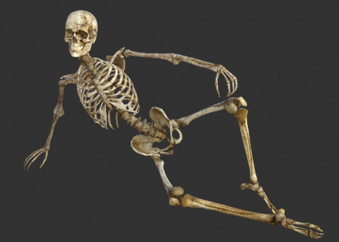Читы скелет. Skeletone. Скелет Вики.