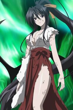 Akeno Himejima, Wiki High School DxD