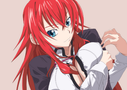 KANA HIGH SCHOOL DXD WIKI ROMAJI Riasu Guremori PROFILE RACE Pure