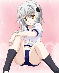 Free download Image Koneko chanpng High School DxD Wiki FANDOM