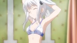 Free download Image Koneko chanpng High School DxD Wiki FANDOM