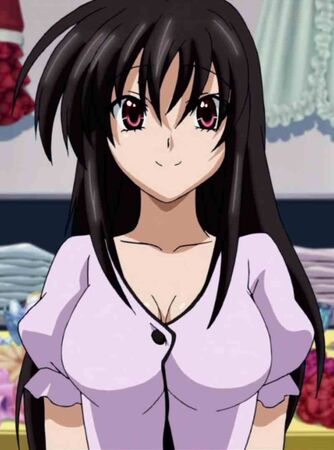 HighSchool DxD Stargazer (aka Season 5), High School DxD Wiki