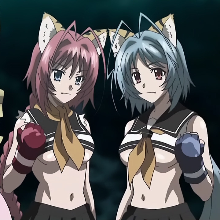 Nekomata, High School DxD Wiki