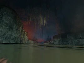 Herzderfinsternisnest