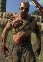 Bruiser