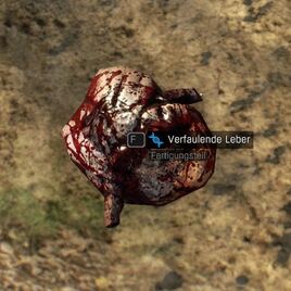 Verfaulteleber