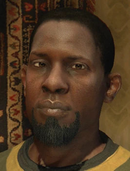 Dying light buckshot