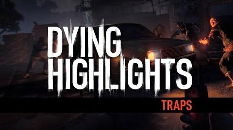 DYING HIGHLIGHT Traps