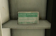 The in-game model of Gauze