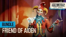 Friend of Aiden Bundle