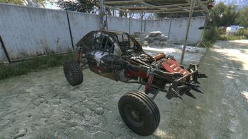 Buggyschwarzewitwe