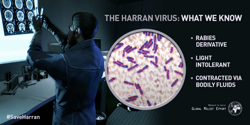 The Harran Virus