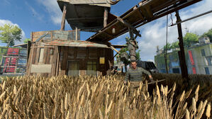 Farmer