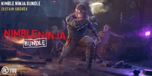 Nimble Ninja Bundle