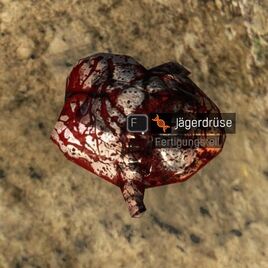 Jägerdrüse