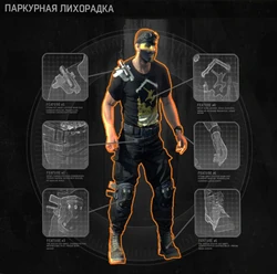 Паркурная лихорадка