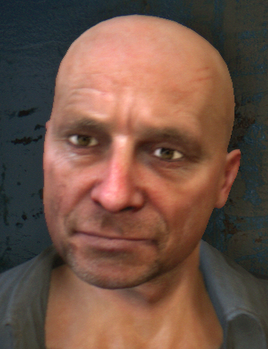 Dying light toygar