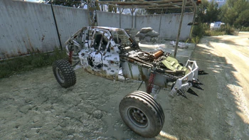 Buggybleicherschädel