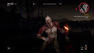 Eine Verfolgung auf Stufe 2