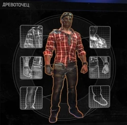 Древоточец