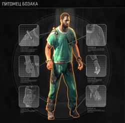 Питомец Бозака