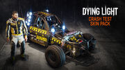 Crash Test Skin Bundle