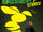 The Green Hornet Strikes! Vol 1 10