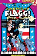 American Flagg! #2