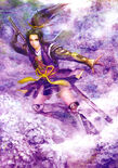 Samurai Warriors 2 artwork