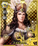 Card Collection portrait