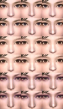 Female Noses (DWN)