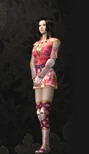 Oichi (KSN3).png (238 KB) Battle outfit
