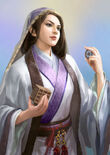 Romance of the Three Kingdoms XII~XIII portrait