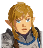 Link's Surprised Portrait