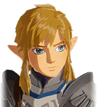 Link's Sad Portrait