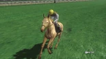 Championjockey-dlc05-01.jpg (116 KB) Ahalteke